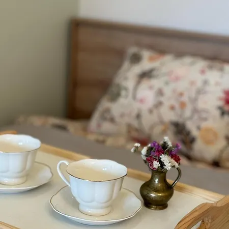 Drinski Kej Tatil Evi *