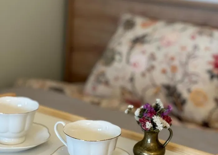 Drinski Kej Semesterbostad *